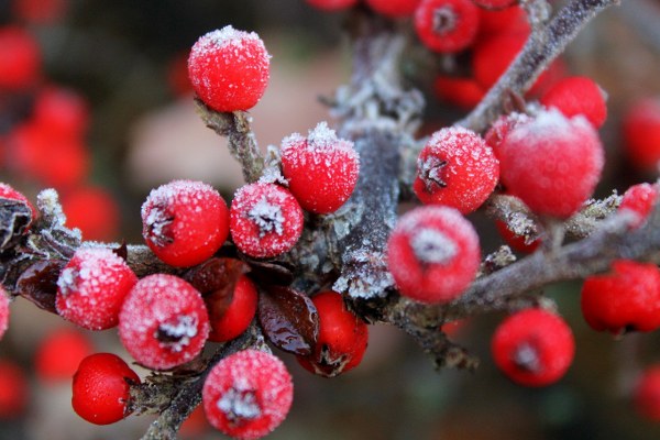 New Mixed HD Wallpapers Pack 360
