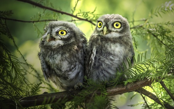 New Mixed HD Wallpapers Pack 377