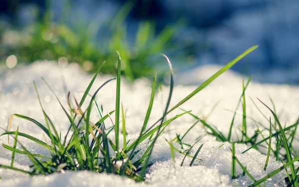 New Mixed HD Wallpapers Pack 394