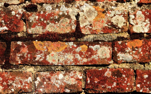 New Mixed HD Wallpapers Pack 307