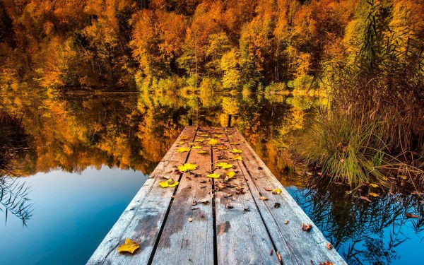 New Mixed HD Wallpapers Pack 318