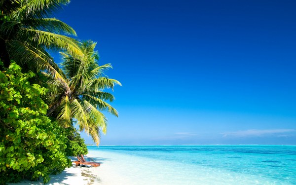 Best Mixed Wallpapers Pack #443-444