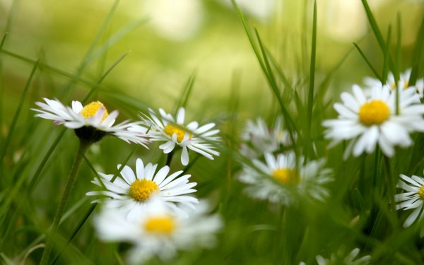 New Mixed HD Wallpapers Pack 188